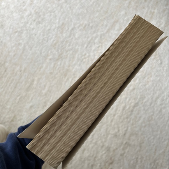 The Mortal Instruments: City of Ashes by Cassandra Clare - Picture 4 of 4